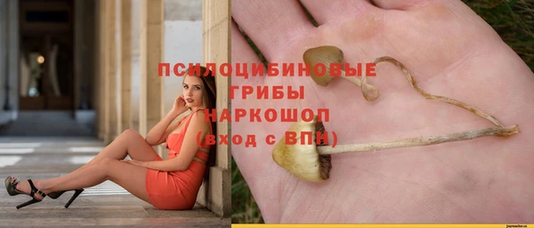 2c-b Ладушкин