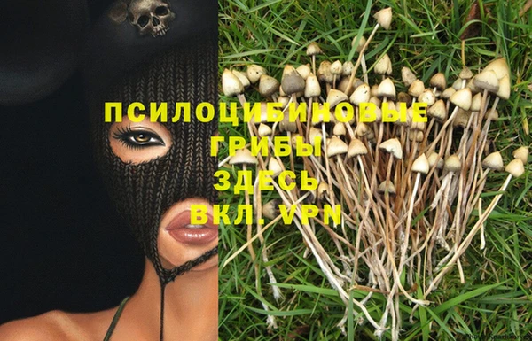 2c-b Ладушкин
