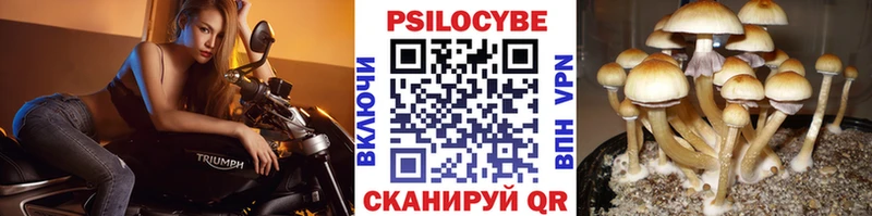 мега зеркало  Мичуринск  Псилоцибиновые грибы Magic Shrooms  купить наркоту 