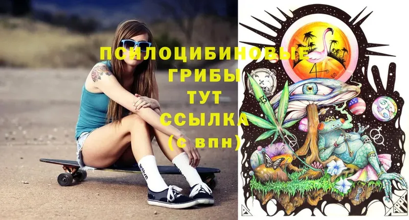 закладка  Мичуринск  гидра сайт  Псилоцибиновые грибы MAGIC MUSHROOMS 