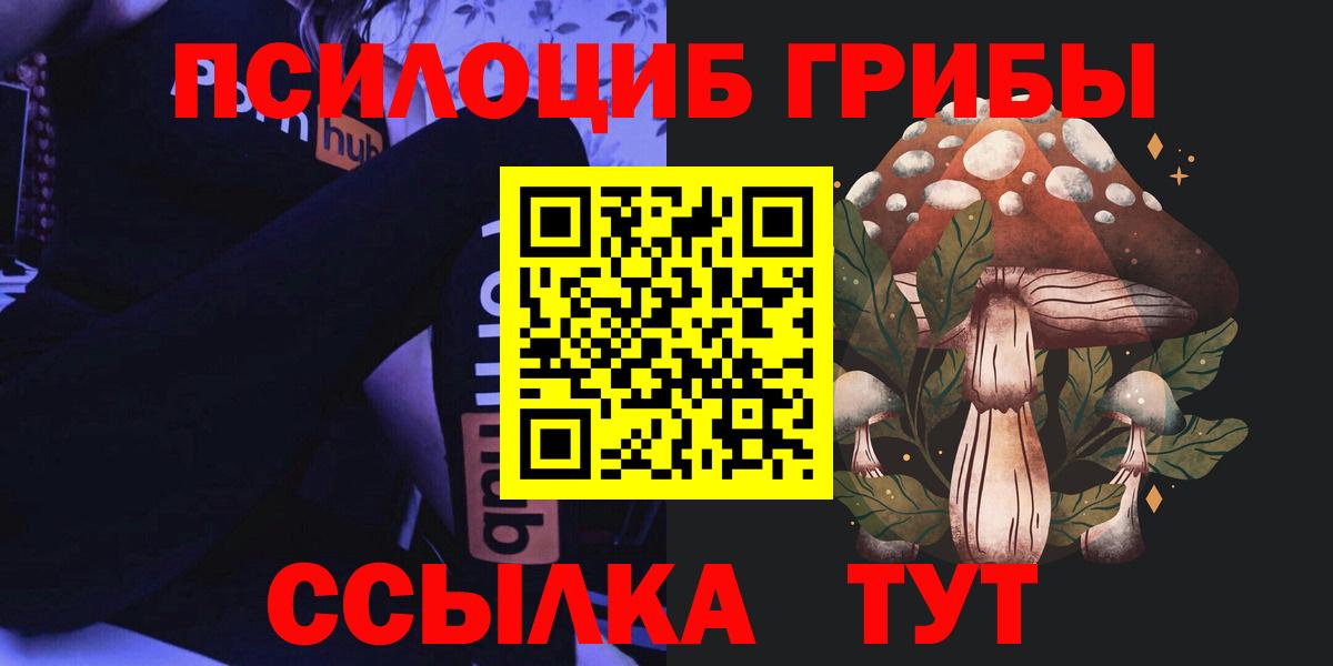 Галлюциногенные грибы Cubensis Мичуринск