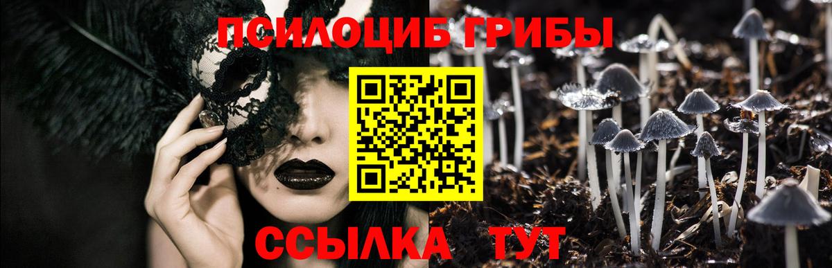 Псилоцибиновые грибы мицелий  Мичуринск 